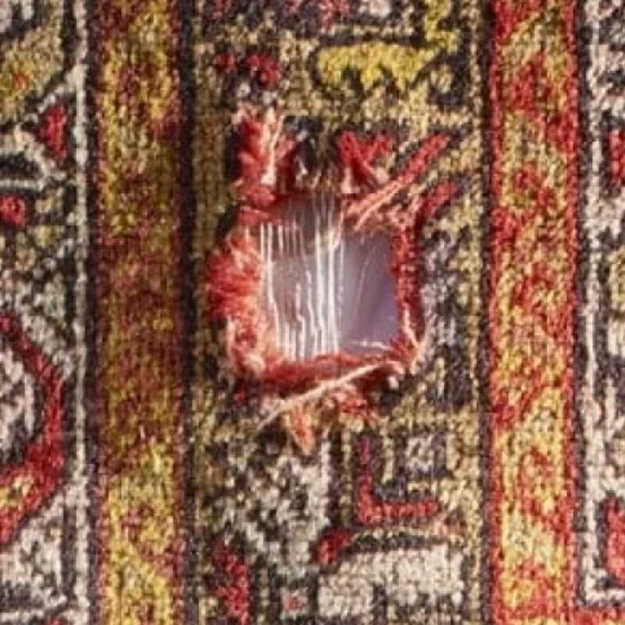 Trou causé par une infestation